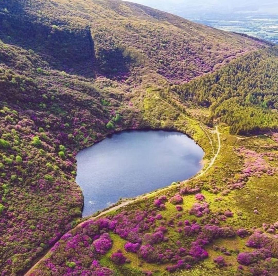 Kozy Kabin Waterford Kültér fotó